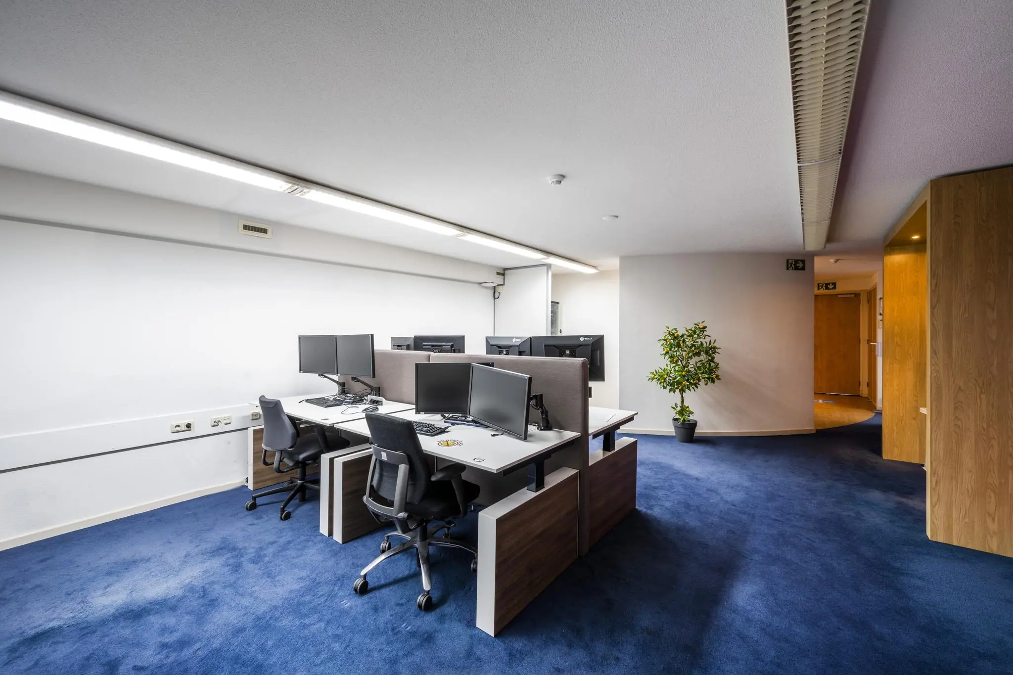 Moderne kantoorruimte aan de Prins Hendrikkade met werkplekken, bureaustoelen en meerdere computerschermen op een blauw tapijt.